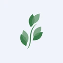 BKD
